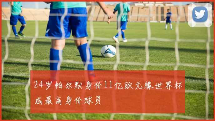 24岁帕尔默身价11亿欧无缘世界杯成最高身价球员